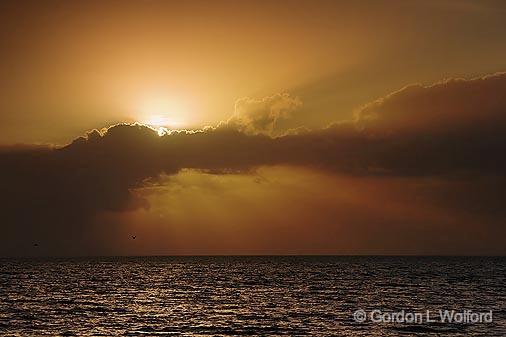 Morning Sunrays_29031.jpg - Photographed near Port Lavaca, Texas, USA.